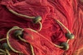 Red fishing nets with cord and bobbers Royalty Free Stock Photo