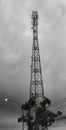 tangled antennas and cables