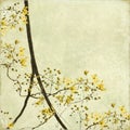 Tangled Blossom Border Background