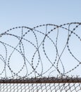 Tangled razor wire on top of a wire mesh perimeter fence, against a blue sky Royalty Free Stock Photo