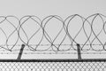 Tangled razor wire on top of a wire mesh perimeter fence, in black and white