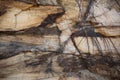 Tangled roots hanging on a red layered Sandstone cliff