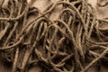 Tangled rope. Jute cable background