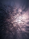 Tangled Wire Mass Expands Dramatically in Shadows Against a Softly Lit Backdrop, Showcasing Intricate Patterns Royalty Free Stock Photo