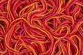 Tangled yarn directly above Royalty Free Stock Photo