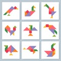 Tangram puzzle. Vector set with various birds. Royalty Free Stock Photo