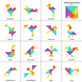 Tangram puzzle game. Vector set with various birds Royalty Free Stock Photo