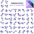 Tangram puzzle. Set of tangram different birds. Royalty Free Stock Photo