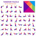 Tangram puzzle for kids. Set of tangram cats.