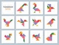 Tangram puzzle. Vector set with various birds. Royalty Free Stock Photo