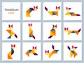 Tangram puzzle. Vector set with various cats. Royalty Free Stock Photo