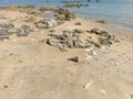 Tanjung Kalian Coastline With Natural Rocky Expanses In Summer