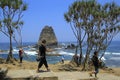 Tanjung Papuma is a type of beach that has large waves as it faces directly to the Indian Ocean