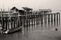 Tanjung Piai Royalty Free Stock Photo