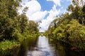 Tanjung Puting National Park, Borneo, Indonesia: the water of the river near Camp Leakey are of deep black color