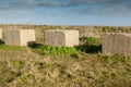 Tank traps from World War 2