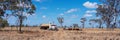 A Tanker Carries Water To Thirsty Cattle