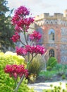 Tankerton towers castle manor house home mansion fort british english home homes stately gardens Royalty Free Stock Photo