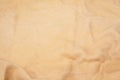 Tanned Buckskin Royalty Free Stock Photo