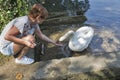 Tanned caucasian woman feed wild white swan in Bled, Slovenia