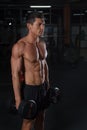 Tanned muscular athlete with heavy dumbbells