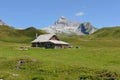 Tannen over Engelberg on the Swiss alps Royalty Free Stock Photo