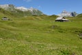 Tannen over Engelberg on the Swiss alps Royalty Free Stock Photo