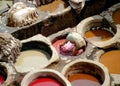 Tanneries, #4