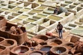 Tannery in Fes, Morocco Royalty Free Stock Photo