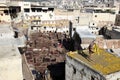 Tannery of Fez, Morocco Royalty Free Stock Photo
