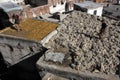 Tannery of Fez, Morocco Royalty Free Stock Photo