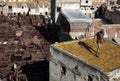 Tannery of Fez, Morocco Royalty Free Stock Photo