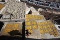 Tannery of Fez, Morocco Royalty Free Stock Photo