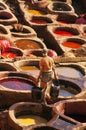 Tannery in Fez, Morroco Royalty Free Stock Photo