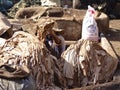 Tannery in Marrakech Morocco Royalty Free Stock Photo