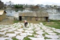 Tannery source of income and pollution in Dhaka Royalty Free Stock Photo