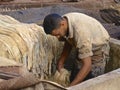 Tannery worker in Marrakech Royalty Free Stock Photo