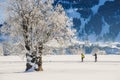 Tannheim Austria Winter Activities and Tree with Snow Royalty Free Stock Photo