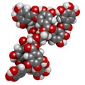 Tannic acid molecule one isomer shown. Type of tannin. Royalty Free Stock Photo