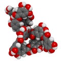 Tannic acid molecule one isomer shown. Type of tannin. Royalty Free Stock Photo