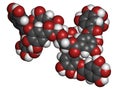 Tannic acid molecule one isomer shown. Type of tannin.