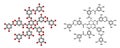 Tannic acid molecule (one isomer shown). Type of tannin Royalty Free Stock Photo