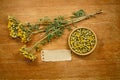 Tansy. Dried. Herbal medicine, phytotherapy medicinal herbs.