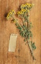Tansy. Dried herbs. Herbal medicine, phytotherapy medicinal herb