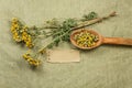 Tansy. Dried herbs. Herbal medicine, phytotherapy medicinal herb