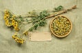 Tansy. Dried herbs. Herbal medicine, phytotherapy medicinal herb