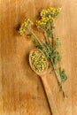 Tansy.Dried herbs. Herbal medicine, phytotherapy medicinal herbs