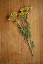 Tansy.Dried herbs.