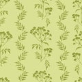 Tansy flowers pattern