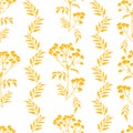 Tansy flowers pattern